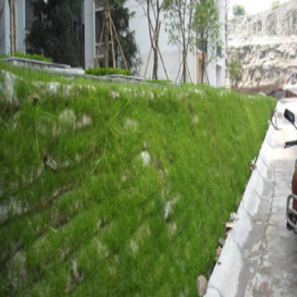 中小河道河流生态修复设计与施工 (2014)
Design & construction for mid-small river
ecological restoration 中小河道河流生态修复设计与施工 (2014)
Design & construction for mid-small river
ecological restoration